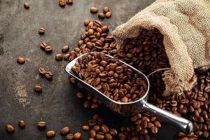 Nhiều yếu tố bất lợi khiến giá cà phê giảm đến 3.300 đồng/kg