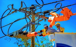 Rồng rắn đợi mua gỏi gà măng cụt ở TP.HCM