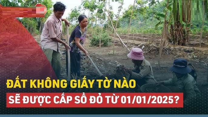 3 trường hợp đất không đủ giấy tờ vẫn được cấp sổ đỏ, là những trường hợp nào?