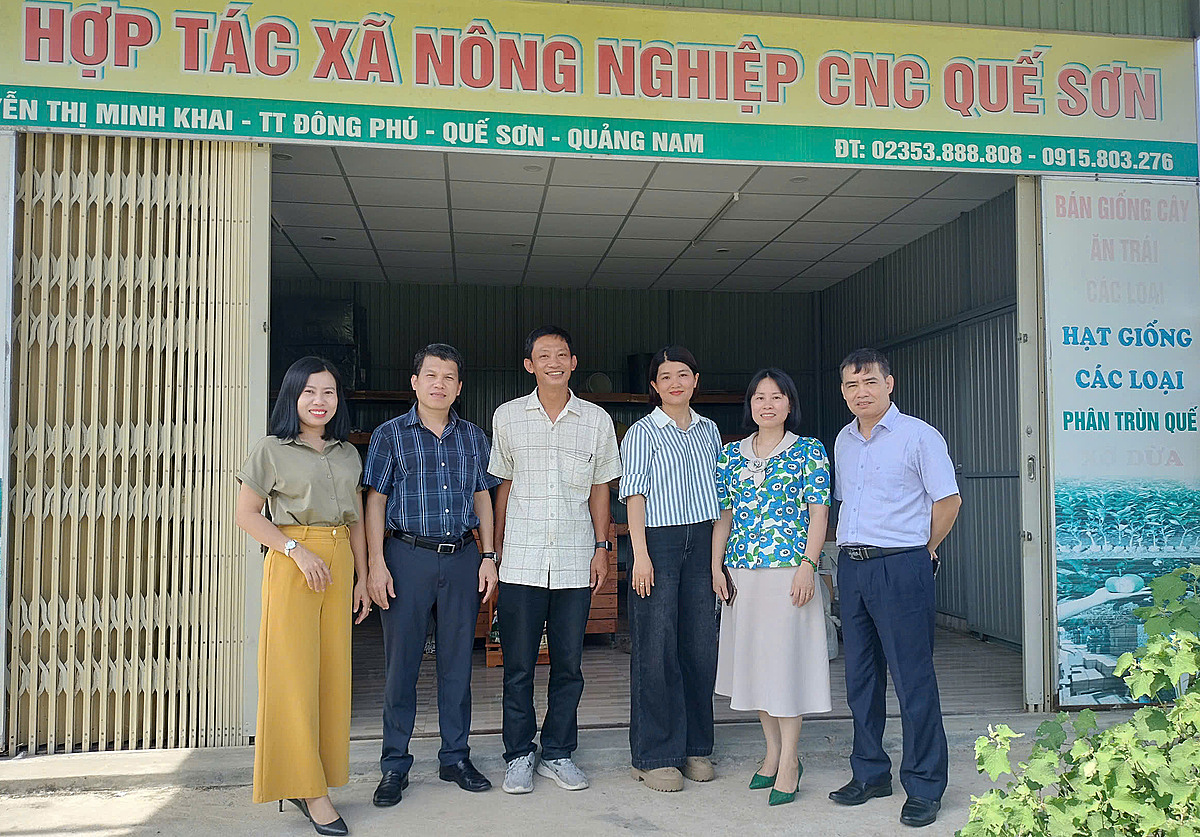 HTX Quế Sơn: Mô hình nông nghiệp công nghệ cao đổi mới cuộc sống nông thôn